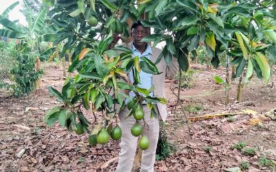 Fruit Planting — Harvests for Health